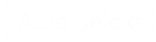 Auto Selekt